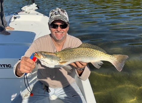 Fishing in St. Petersburg, Florida