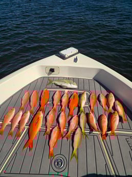 Fishing in Key Largo, Florida