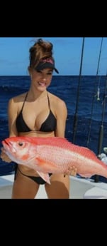 Fishing in Tierra Verde, Florida