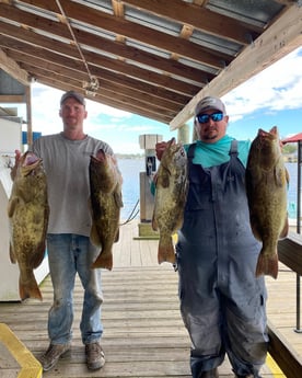 Gag Grouper Fishing in Crystal River, Florida