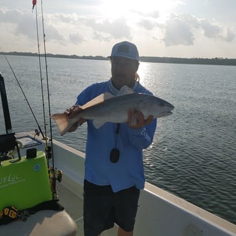 Redfish Fishing in Folly Beach, South Carolina