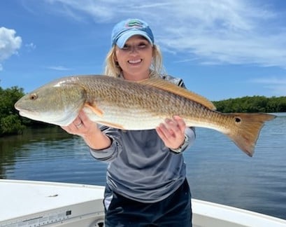 Redfish fishing in Placida, Florida