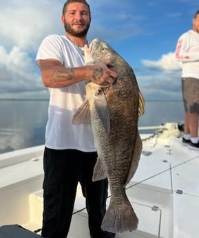 Black Drum fishing in Delacroix, Louisiana