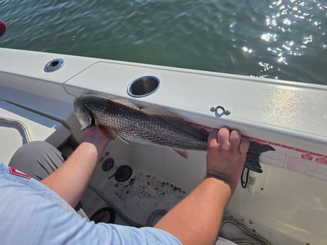Fishing in Folly Beach, South Carolina