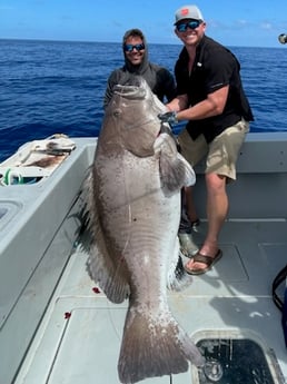Warsaw Grouper Fishing in Key West, Florida