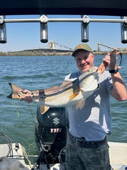 Fishing in Poteet, Texas