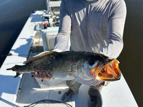 Fishing in Slidell, Louisiana