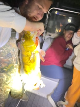 Fishing in Pembroke Pines, Florida