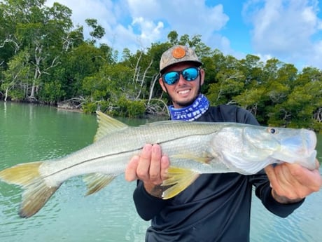 Snook Fishing in Tavernier, Florida