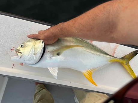 Fishing in Boca Grande, Florida