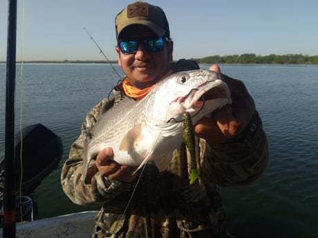 Redfish fishing in San Antonio, Texas