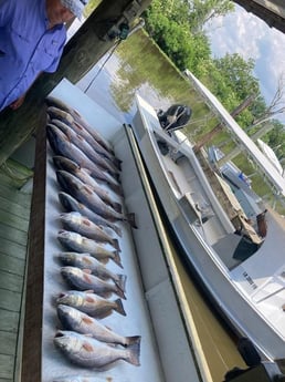 Redfish Fishing in Delacroix, Louisiana