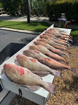 Fishing in Sarasota, Florida