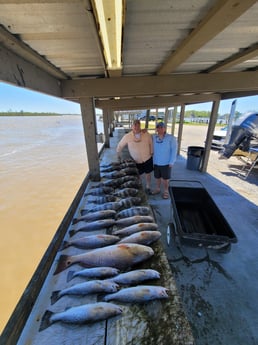 Black Drum, Redfish, Speckled Trout Fishing in Boothville-Venice, Louisiana
