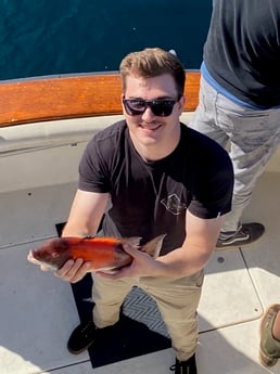 California Sheephead Fishing in Long Beach, California