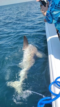Fishing in Panama City Beach, Florida
