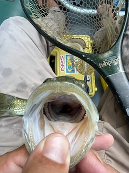 Fishing in New Braunfels, Texas