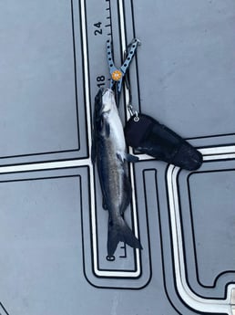 Fishing in Pembroke Pines, Florida