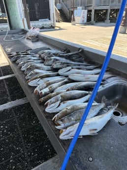 Fishing in Lake Charles, Louisiana