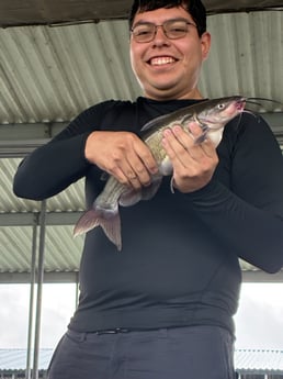 Fishing in Alba, Texas