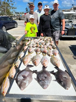 Triggerfish, Yellowtail Snapper Fishing in Marathon, Florida