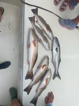 Fishing in Morehead City, North Carolina