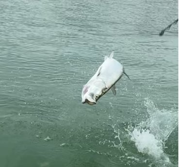 Fishing in Islamorada, Florida