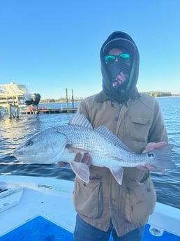 Fishing in Johns Island, South Carolina