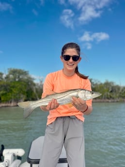 Snook Fishing in Wrightsville Beach, North Carolina