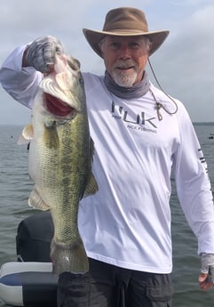 Largemouth Bass Fishing in Alba, Texas