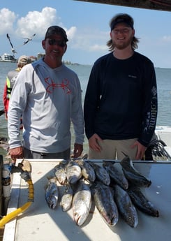 Speckled Trout / Spotted Seatrout fishing in Galveston, Texas