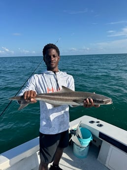 Fishing in Clearwater, Florida
