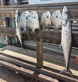 Fishing in Corpus Christi, Texas
