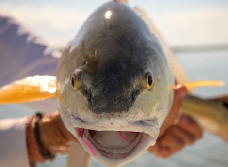 Redfish fishing in Galveston, Texas