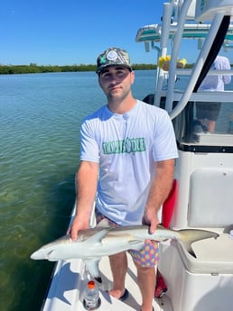 Fishing in Summerland Key, Florida