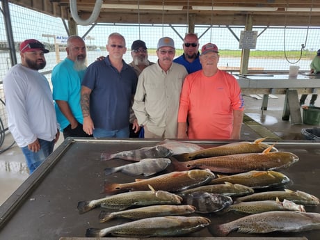 Black Drum, Redfish, Speckled Trout Fishing in Matagorda, Texas