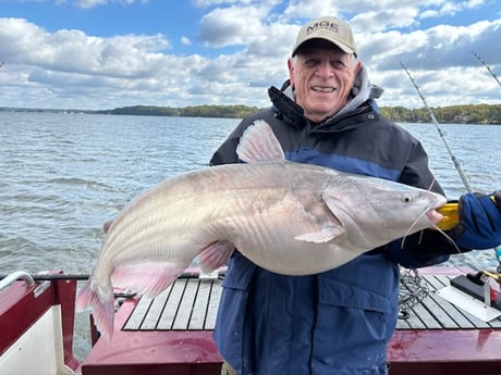 Fishing in Decatur, Alabama