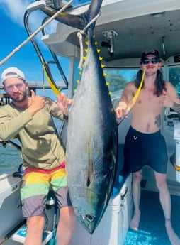 Yellowfin Tuna fishing in Kapa&#039;a, Hawaii