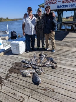 Black Drum, Sheepshead Fishing in Sulphur, Louisiana
