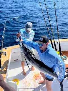 Sailfish Fishing in West Palm Beach, Florida