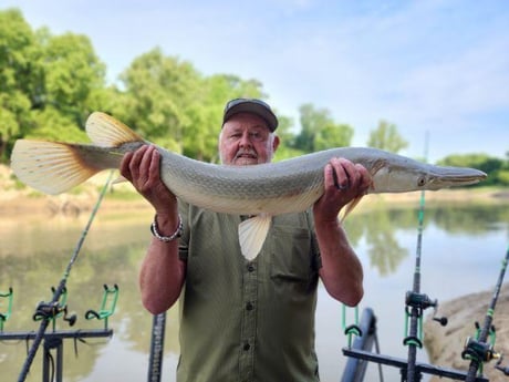 Alligator Gar Fishing in Dallas, Texas