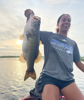 Largemouth Bass Fishing in Lake Okeechobee, Florida