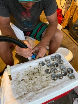 Scallop fishing in Destin, Florida