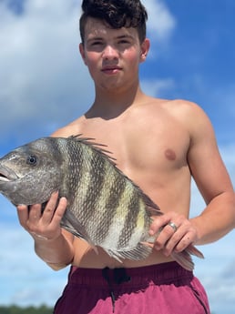 Sheepshead fishing in Johns Island, South Carolina