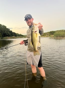 Largemouth Bass Fishing in Graford, Texas