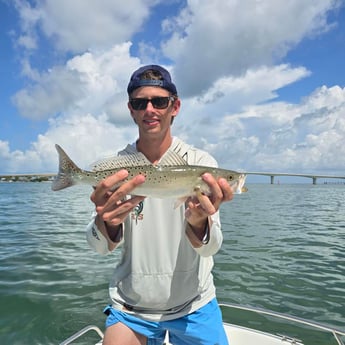 Fishing in Sarasota, Florida