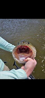 Fishing in Athens, Texas
