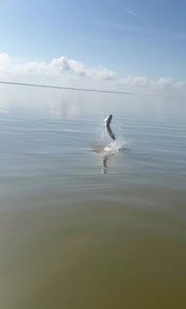 Fishing in Marco Island, Florida