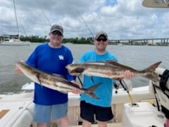 Cobia Fishing in Charleston, South Carolina