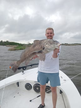 Black Drum Fishing in